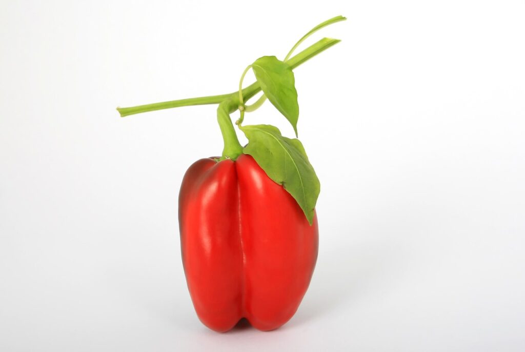 About bell pepper, red, vegetable, pepper, raw, healthy, ripe, ingredient, vegetarian, vegan, fresh, produce, harvest, organic, isolated, bell pepper, bell pepper, pepper, pepper, pepper, pepper, pepper